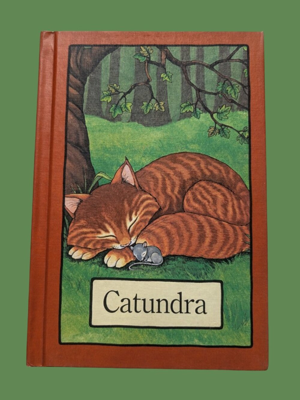 5/$20 Serendipity Book Catundra by Stephen Cosgrove Hardcover